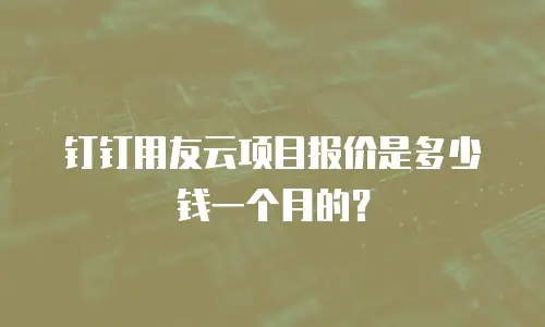 钉钉用友云项目报价是多少钱一个月的？
