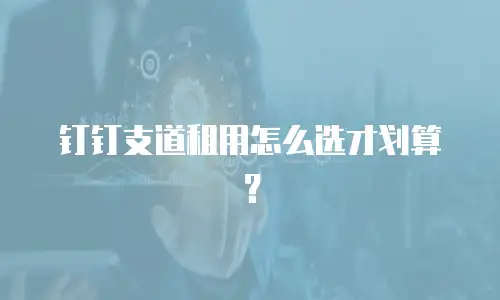 钉钉支道租用怎么选才划算？
