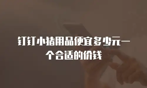 钉钉小猪用品便宜多少元一个合适的价钱