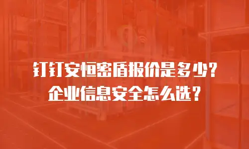 钉钉安恒密盾报价是多少？企业信息安全怎么选？