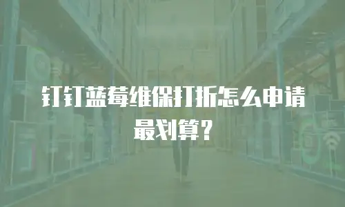 钉钉蓝莓维保打折怎么申请最划算？