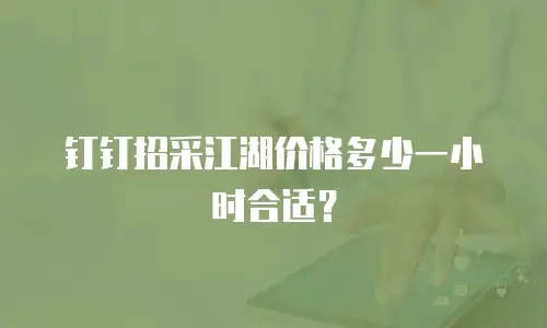 钉钉招采江湖价格多少一小时合适？