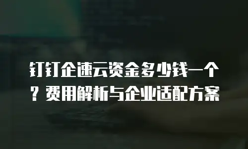 钉钉企速云资金多少钱一个？费用解析与企业适配方案