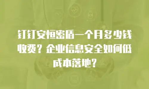 钉钉安恒密盾一个月多少钱收费？企业信息安全如何低成本落地？