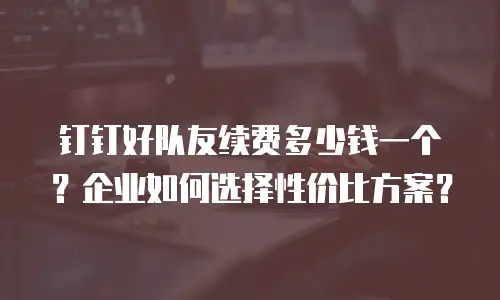 钉钉好队友续费多少钱一个？企业如何选择性价比方案？
