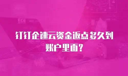 钉钉企速云资金返点多久到账户里面？