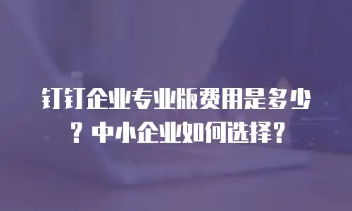 钉钉企业专业版费用是多少？中小企业如何选择？