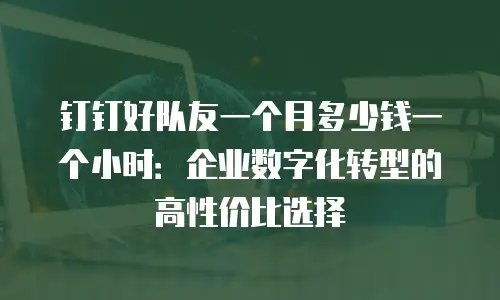 钉钉好队友一个月多少钱一个小时：企业数字化转型的高性价比选择