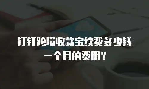 钉钉跨境收款宝续费多少钱一个月的费用？