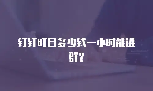 钉钉盯目多少钱一小时能进群？