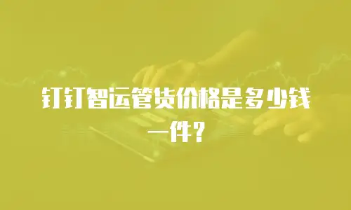 钉钉智运管货价格是多少钱一件？
