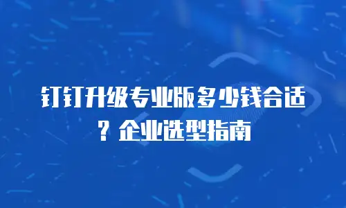 钉钉升级专业版多少钱合适？企业选型指南