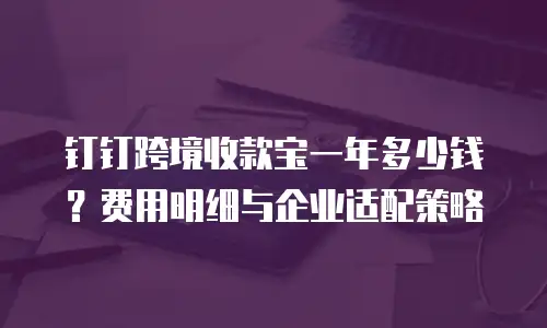 钉钉跨境收款宝一年多少钱？费用明细与企业适配策略