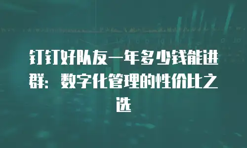 钉钉好队友一年多少钱能进群：数字化管理的性价比之选