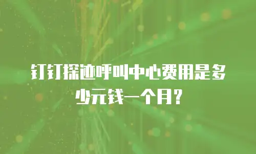 钉钉探迹呼叫中心费用是多少元钱一个月？