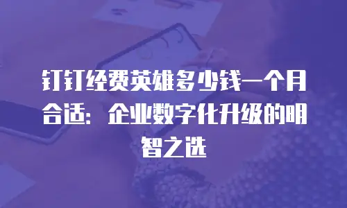 钉钉经费英雄多少钱一个月合适：企业数字化升级的明智之选