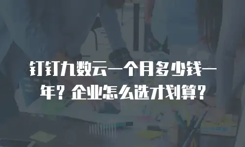 钉钉九数云一个月多少钱一年？企业怎么选才划算？