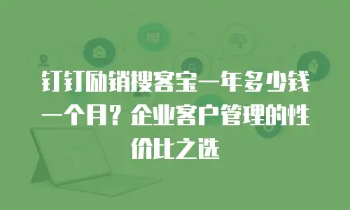 钉钉励销搜客宝一年多少钱一个月？企业客户管理的性价比之选
