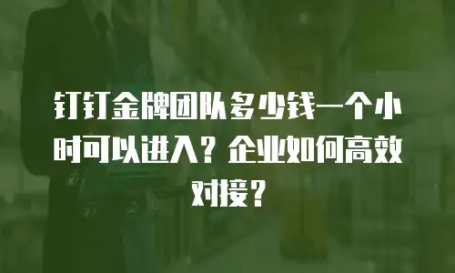 钉钉金牌团队多少钱一个小时可以进入？企业如何高效对接？