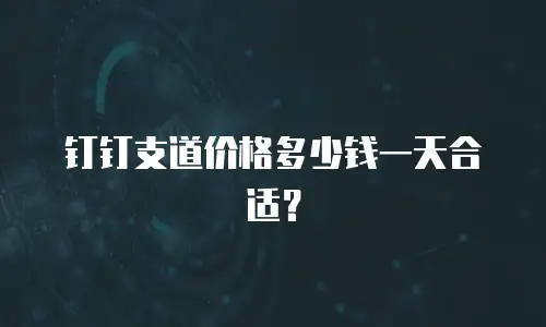 钉钉支道价格多少钱一天合适？