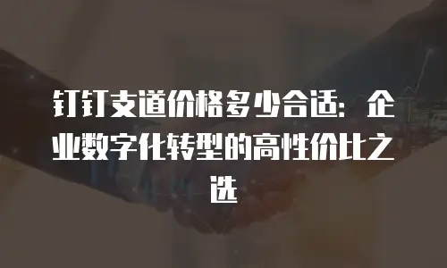 钉钉支道价格多少合适：企业数字化转型的高性价比之选