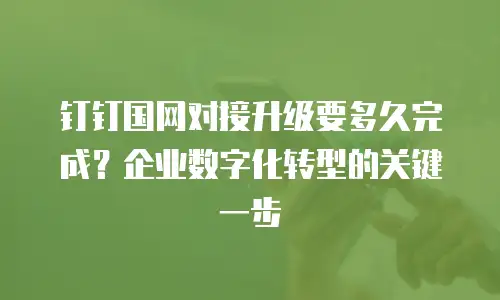 钉钉国网对接升级要多久完成？企业数字化转型的关键一步