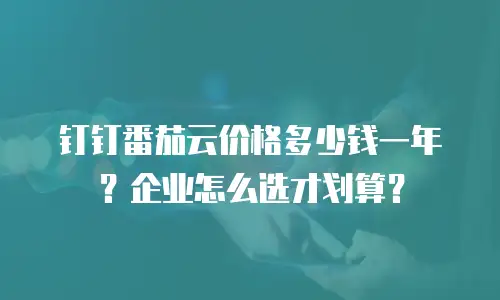 钉钉番茄云价格多少钱一年？企业怎么选才划算？