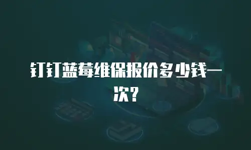 钉钉蓝莓维保报价多少钱一次？