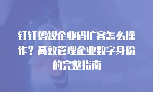 钉钉蚂蚁企业码扩容怎么操作？高效管理企业数字身份的完整指南