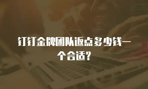 钉钉金牌团队返点多少钱一个合适？