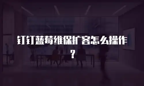 钉钉蓝莓维保扩容怎么操作？