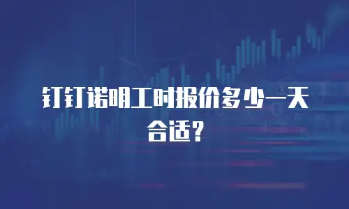 钉钉诺明工时报价多少一天合适？