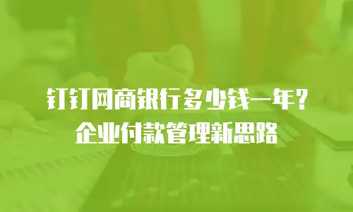 钉钉网商银行多少钱一年？企业付款管理新思路