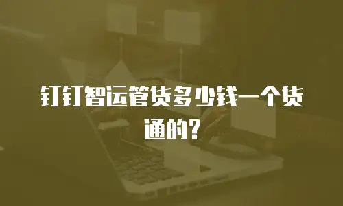钉钉智运管货多少钱一个货通的？