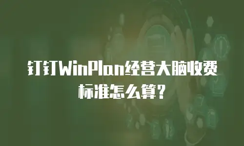 钉钉WinPlan经营大脑收费标准怎么算？