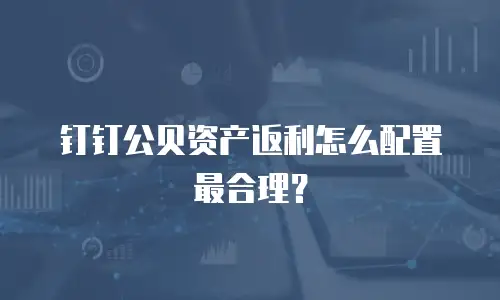 钉钉公贝资产返利怎么配置最合理？