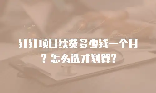 钉钉项目续费多少钱一个月？怎么选才划算？