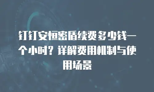 钉钉安恒密盾续费多少钱一个小时？详解费用机制与使用场景
