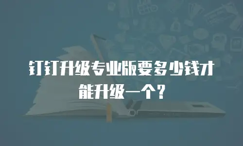 钉钉升级专业版要多少钱才能升级一个？