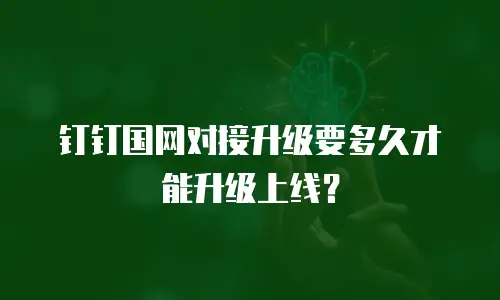 钉钉国网对接升级要多久才能升级上线？