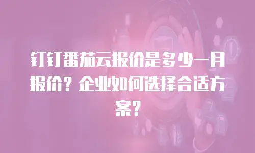 钉钉番茄云报价是多少一月报价？企业如何选择合适方案？