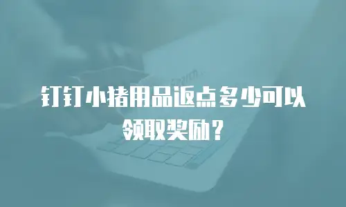 钉钉小猪用品返点多少可以领取奖励？