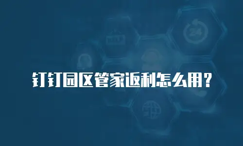 钉钉园区管家返利怎么用？