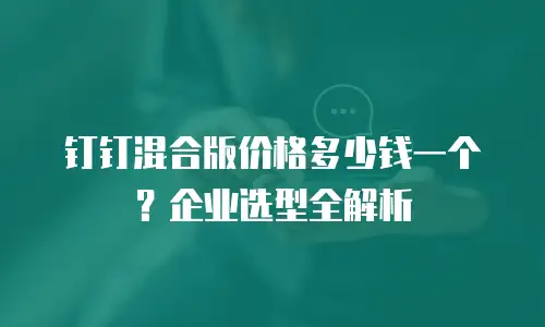 钉钉混合版价格多少钱一个？企业选型全解析