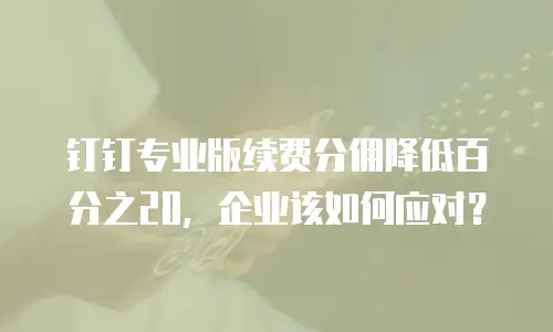 钉钉专业版续费分佣降低百分之20，企业该如何应对？