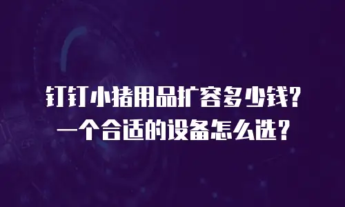 钉钉小猪用品扩容多少钱？一个合适的设备怎么选？