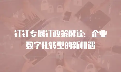 钉钉专属钉政策解读：企业数字化转型的新机遇