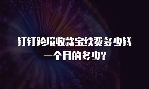 钉钉跨境收款宝续费多少钱一个月的多少？