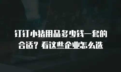 钉钉小猪用品多少钱一套的合适？看这些企业怎么选