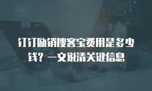 钉钉励销搜客宝费用是多少钱？一文说清关键信息
